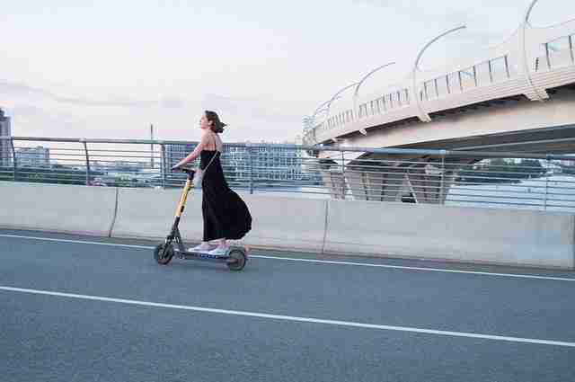 麻豆生态地图:IP 进阶必读